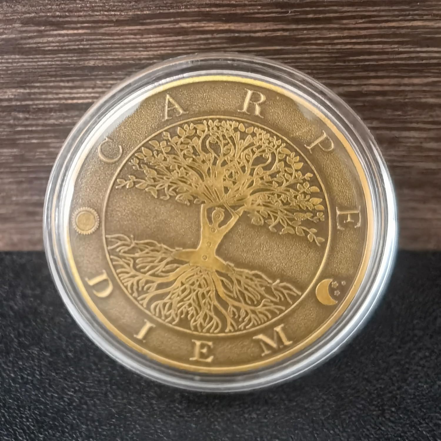 Memento Mori Carpe Diem Coin S – обзор и цена Token Coin Mechanism